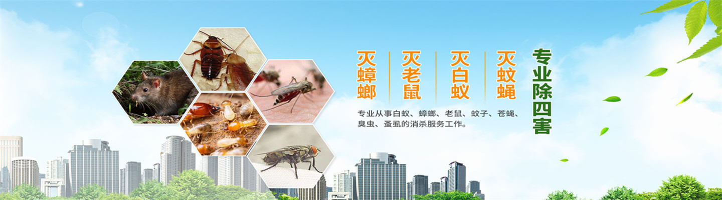 福州杀虫灭鼠公司