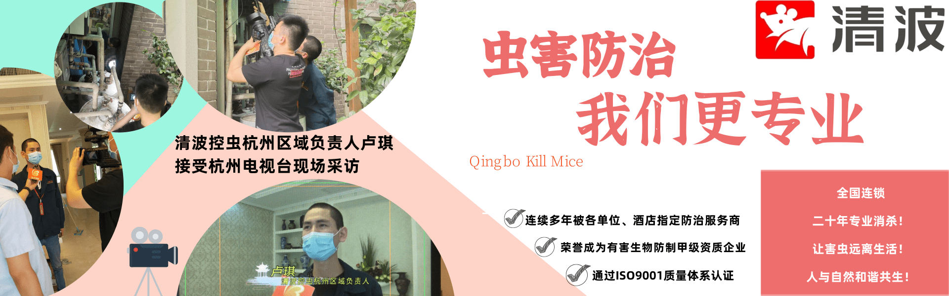 桐庐清波杀虫灭鼠消杀公司