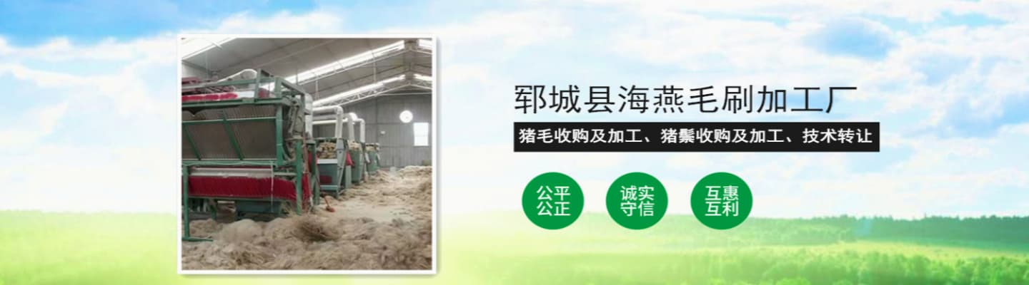 郓城县海燕毛刷加工厂