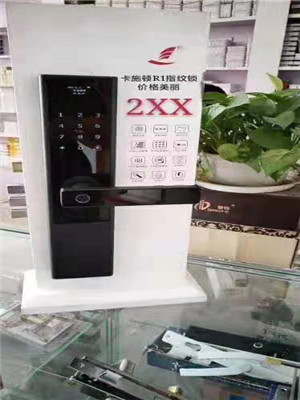 哪里有卖指纹锁江夏区