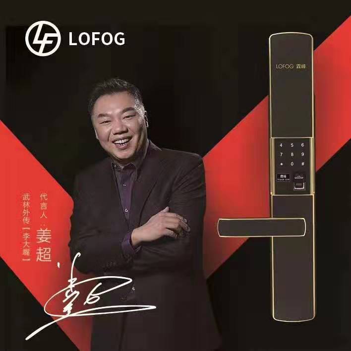 霖锋品牌指纹锁