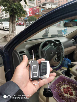 汽车芯片钥匙和遥控器