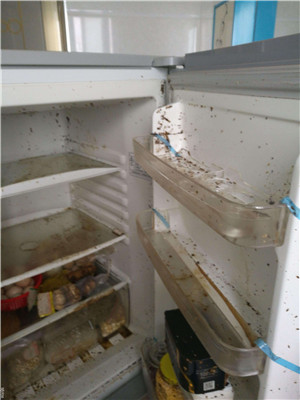 儋州冰箱清洗电话号码