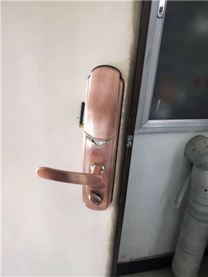 万州指纹密码锁