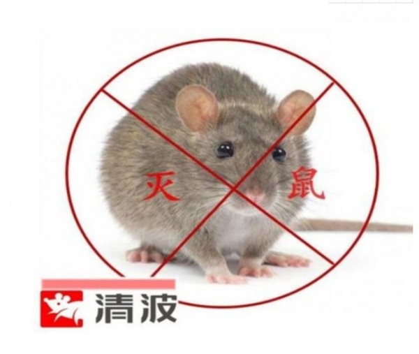 德清灭鼠公司