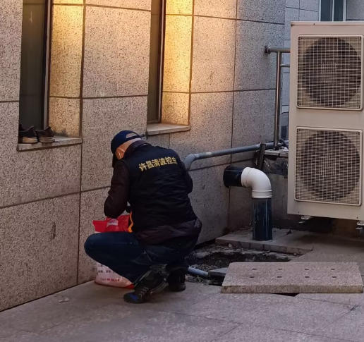 许昌灭蟑公司介绍蟑螂喜欢在家吃什么食物？