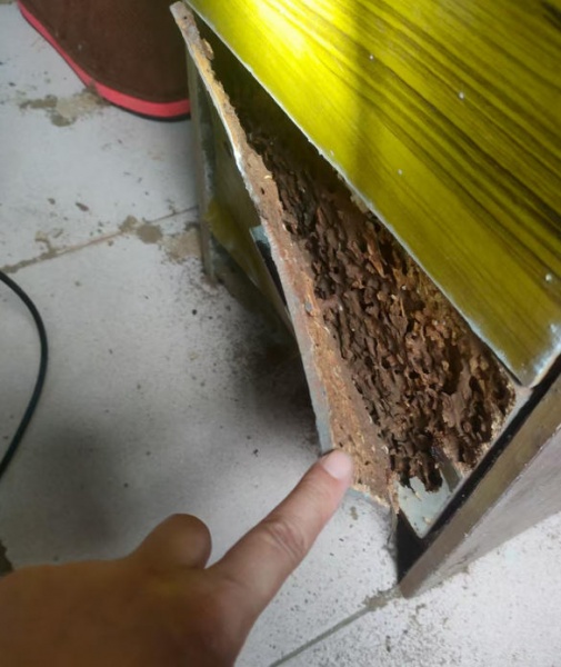 刚装修的房子担心白蚁蛀蚀，韶关有提前预防白蚁的服务吗？