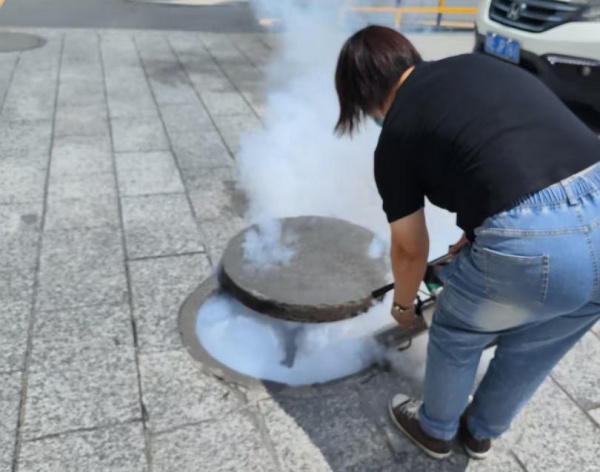 雨季蚊虫增多，韶关家庭该如何选择合适的蚊虫消杀服务？