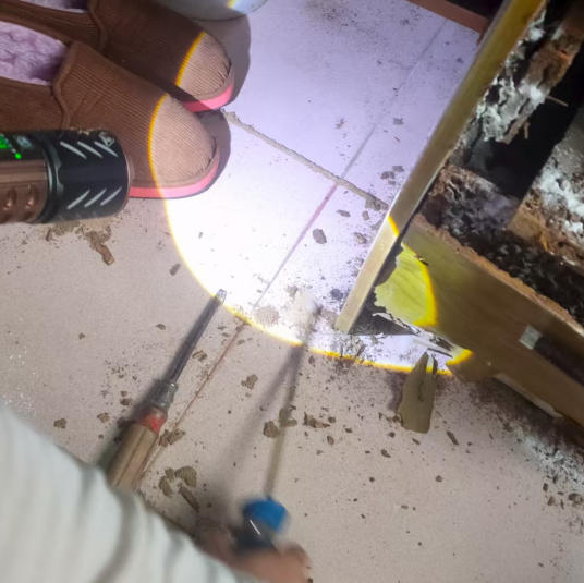 餐饮店受蟑螂困扰影响卫生评级，韶关消杀公司能紧急处理吗？