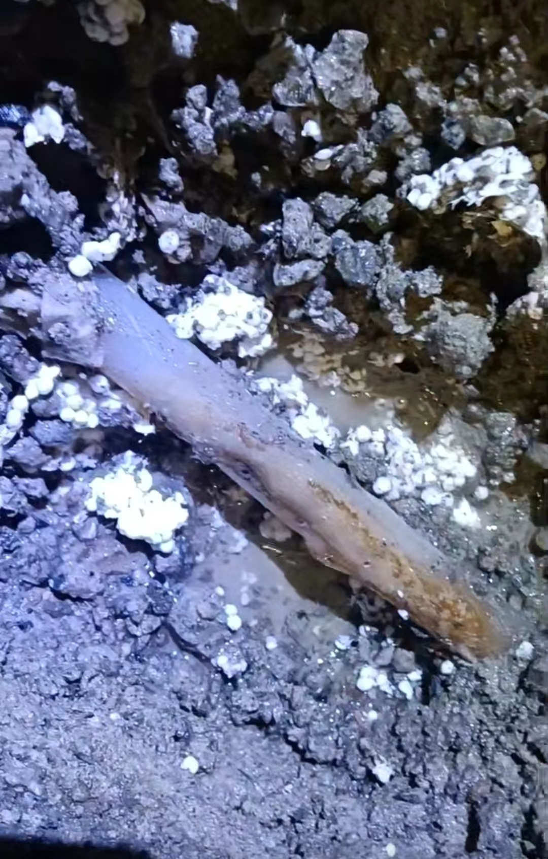 办公楼装修中的消防管道漏水检测部分