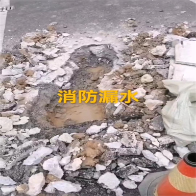 精准测漏，挖掘漏洞的技术