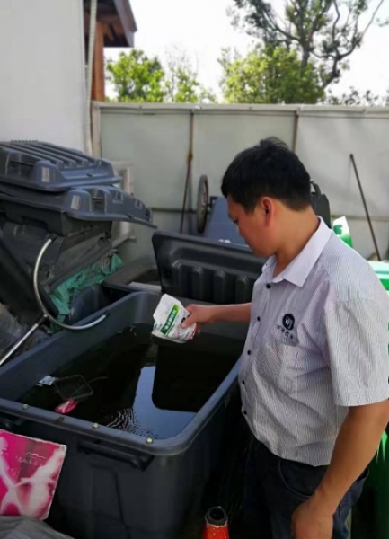 餐厅厨房鼠虫出没，怎样的防治能符合卫生监管要求？