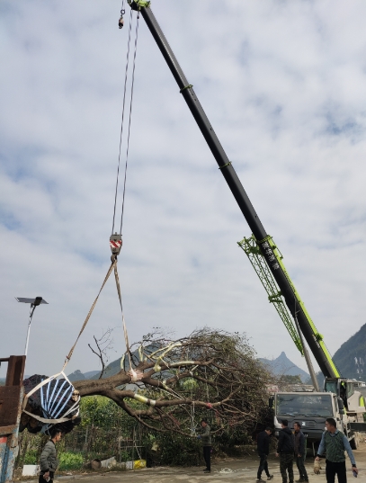 武宣的建筑同行们，难道不想了解哪种吊车最适合您的工程吗？