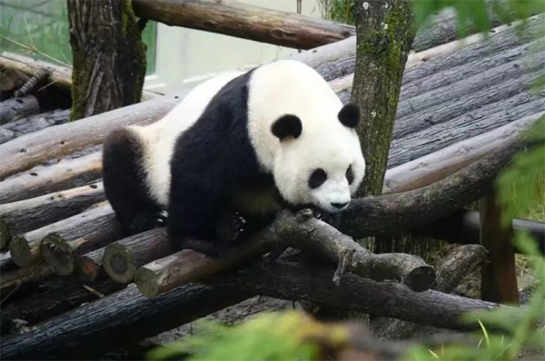 神农架自由行还是跟团比较好