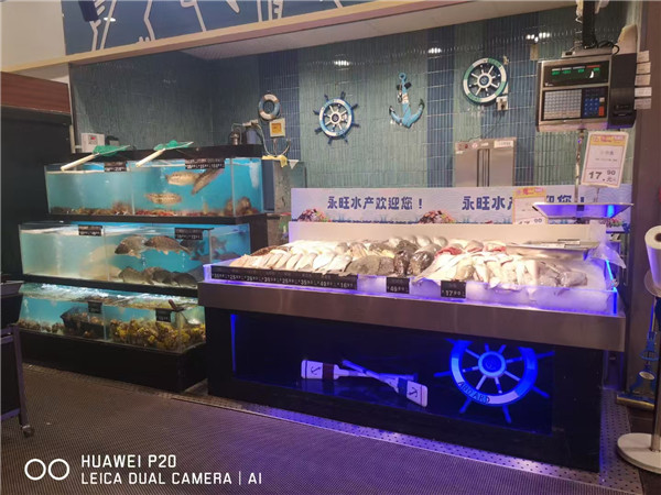 青岛大型鱼缸说说大型观赏型鱼缸对选材的要求