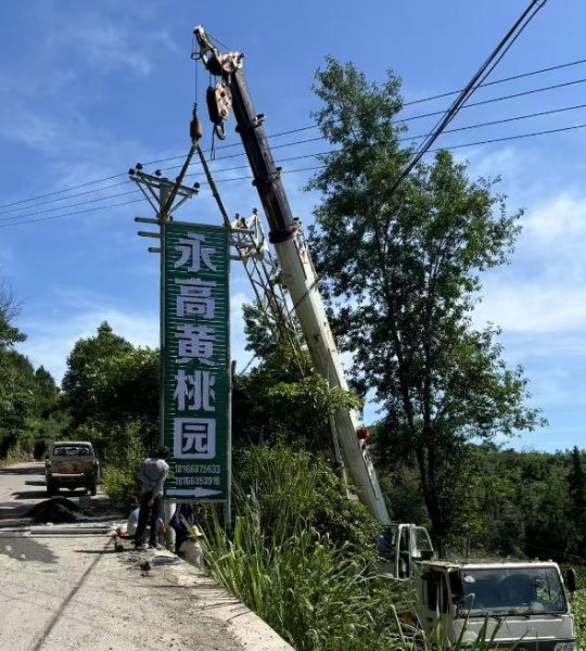 不同品牌型号的吊车在性能上有哪些差异？