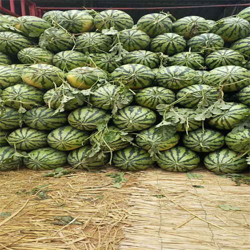 开封西瓜代办代收联系电话