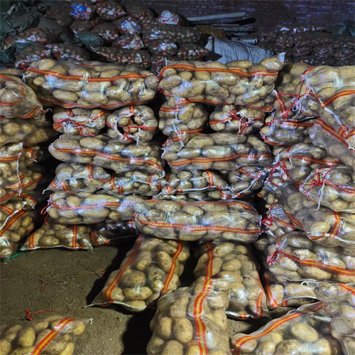 开封土豆批发市场在哪