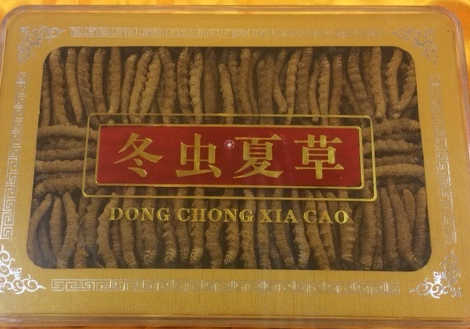 焦作大量回收冬虫夏草