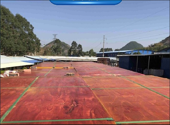 广东建筑模板厂家哪家好