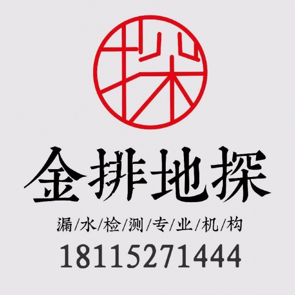 漏水检测能否自行完成，还是需要专业团队介入？