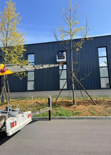 霍邱县有一家专业出租吊车的桥一吊装公司服务怎么样？