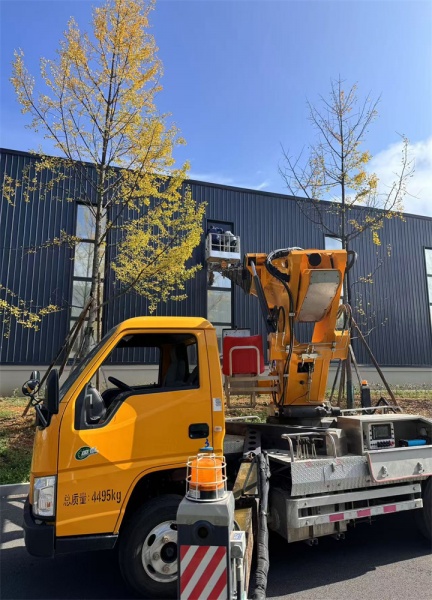 吊车吊装过程需要遵循哪些步骤和注意事项？