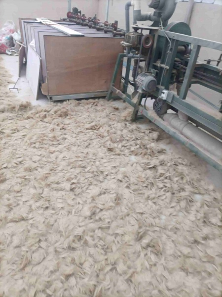 菏泽猪毛收购&墩毛坯