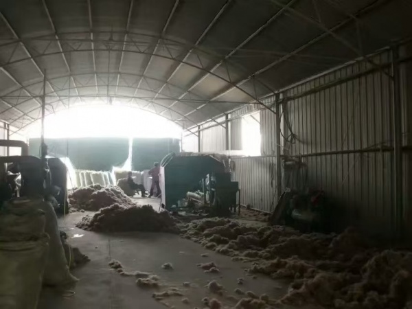 收购猪鬃的价格会受到哪些因素的影响？