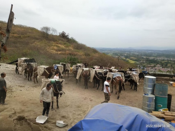 全国马帮搬运队