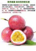 自家果园龙岩百香果