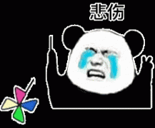 宠物用品给力推荐