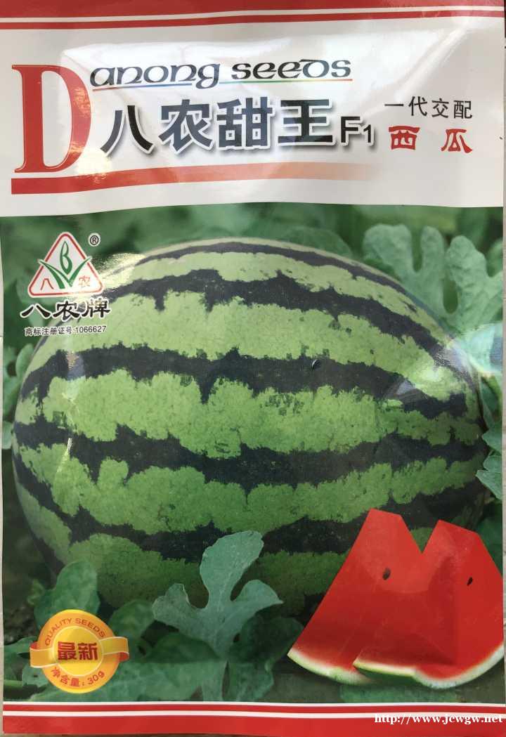 双红金5西瓜种子多少钱_红金城种子哪家好,双红金五西瓜种子 双红金5西瓜种子多少钱_红金城种子哪家好,双红金五西瓜种子