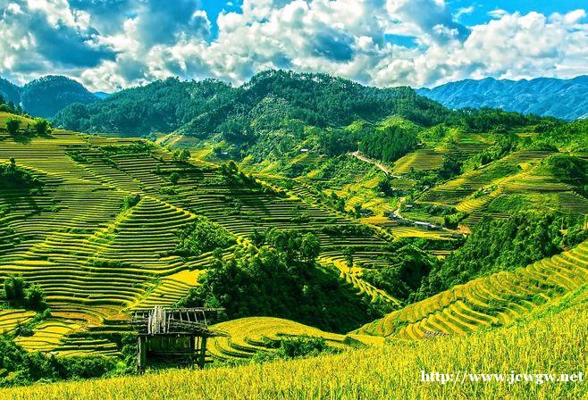 秒稻智能自动碾米机-带你走进吃米的新食尚 秒稻智能自动碾米机-带你走进吃米的新食尚