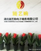 招聘网络销售专员