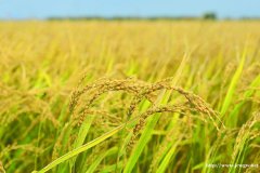 王祖蓝的爱情也同样离不开柴米油盐!