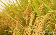 做饭的学问，你该知道……