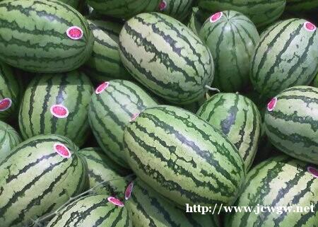 金城5号西瓜的特点_金城5号西瓜多少钱,双红金城5号西瓜简介 金城5号西瓜的特点_金城5号西瓜多少钱,双红金城5号西瓜简介