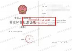 专业(办理拍卖(文物)业务许可证)办理