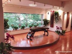 王府井成人古筝培训 零基础学古筝 常年开课