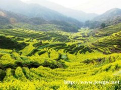 到婺源旅游哪里包车!包车价格是多少