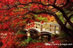 提升大专本科学历,成就一个全新的自己(成人高考)