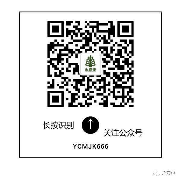 永春美一方百顺苗蛊灸 永春美一方百顺苗蛊灸