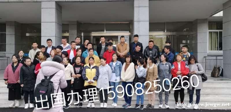 澳洲屠宰工年薪40万农场工建筑工华侨企业 澳洲屠宰工年薪40万农场工建筑工华侨企业