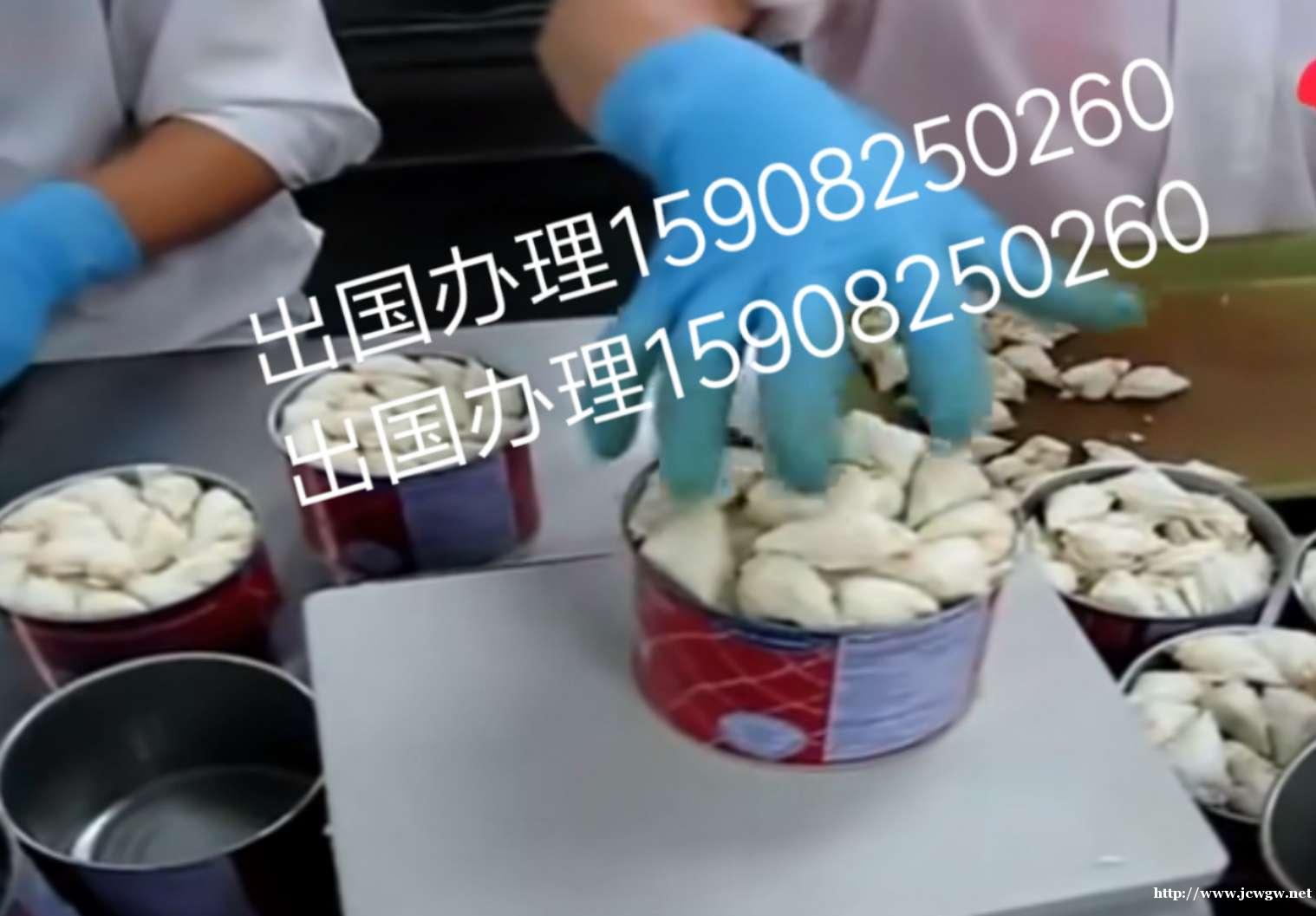 新西兰年薪30万农场工建筑工华侨企业 新西兰年薪30万农场工建筑工华侨企业