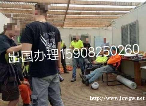 新西兰年薪30万农场工建筑工华侨企业 新西兰年薪30万农场工建筑工华侨企业