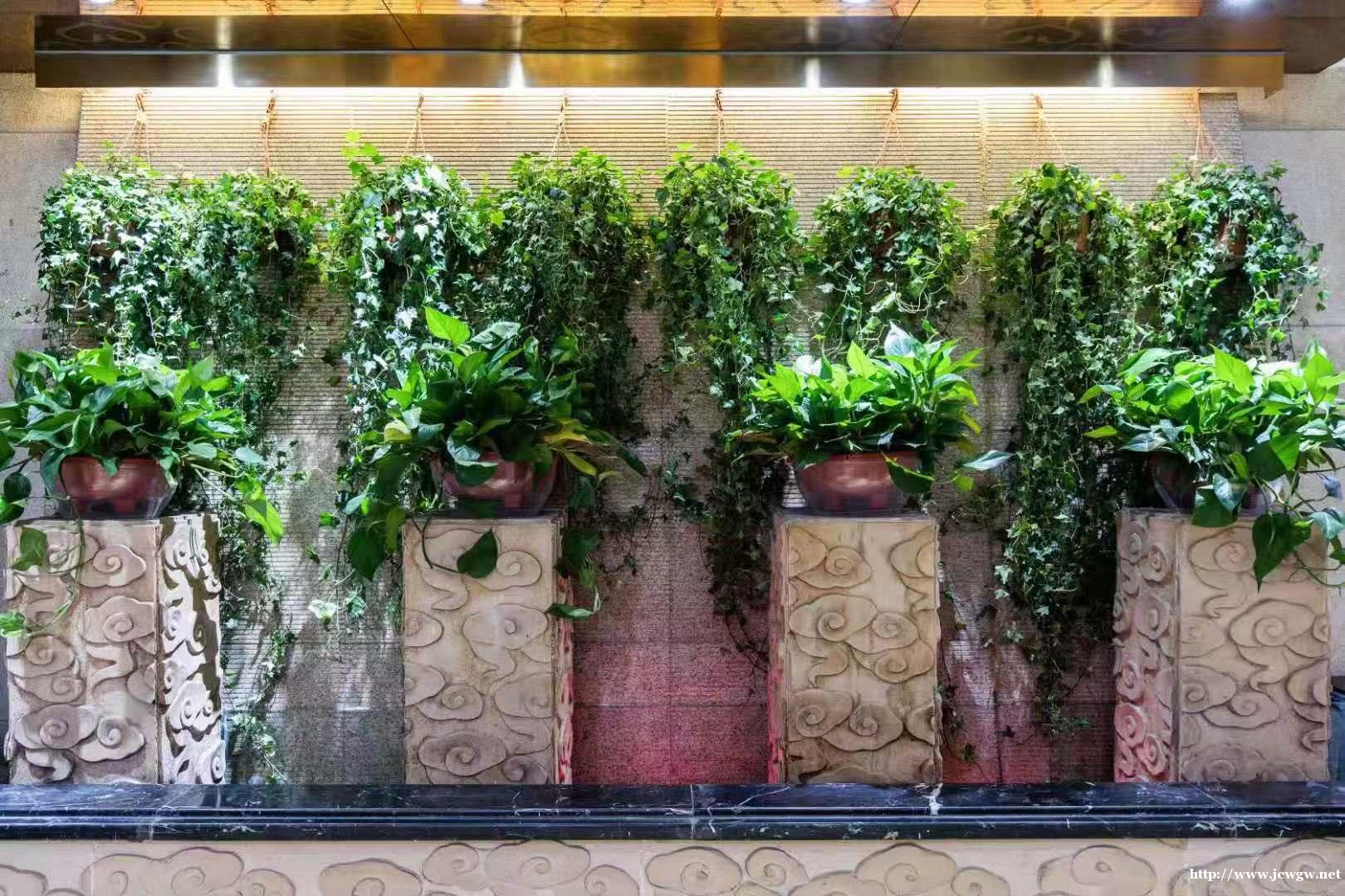 西安市南山驿足道馆纯绿色正规足道养生 西安市南山驿足道馆纯绿色正规足道养生