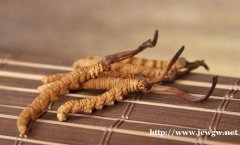 巴中冬虫夏草的回收应引起重视