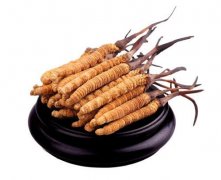 巴中虫草回收的区域分布情况是怎样的