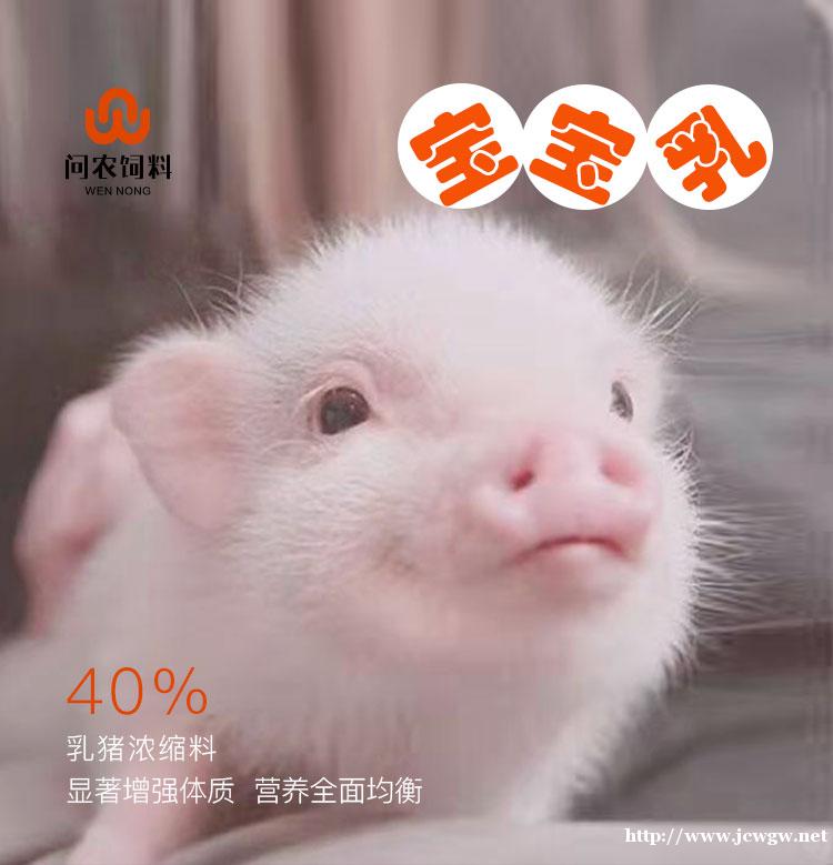 问农乳猪浓缩料 断奶小猪保育料 营养全面断奶不掉膘厂家直销 问农乳猪浓缩料 断奶小猪保育料 营养全面断奶不掉膘厂家直销